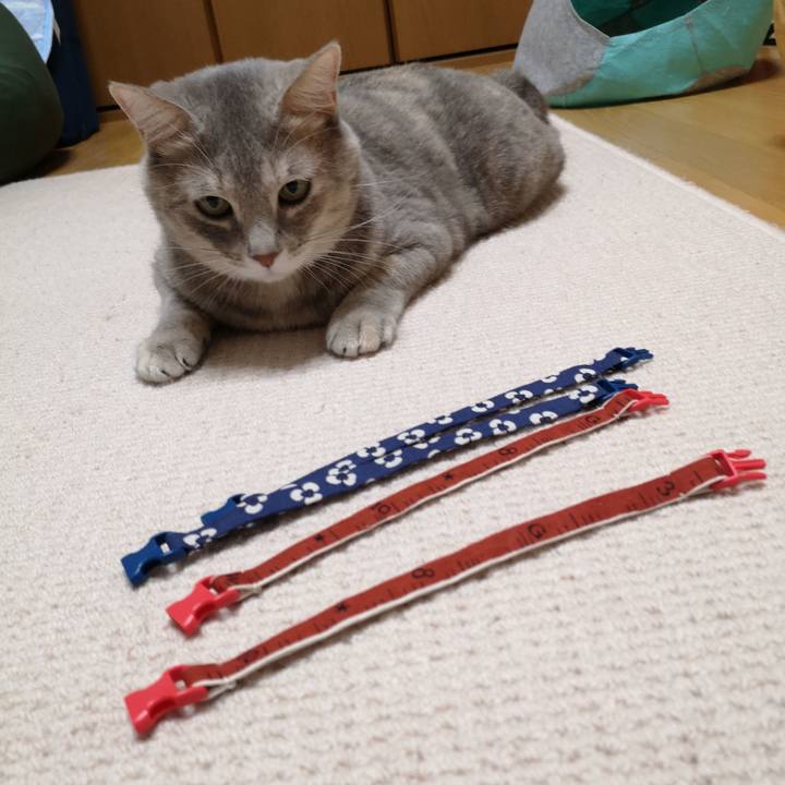 96f8893f 9d8f 451e a073 52d2866ba86c 1570975361931