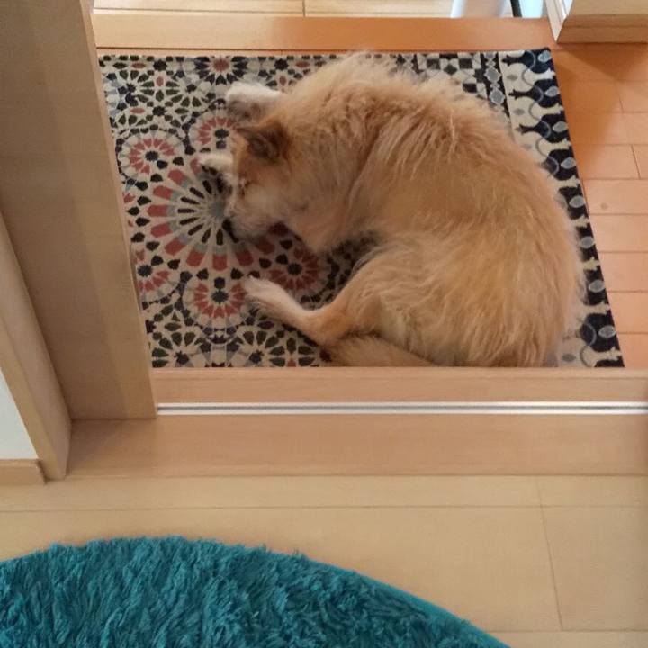 96f88bb0 d060 4187 b90c 72bb43ebcb63 1556171654306