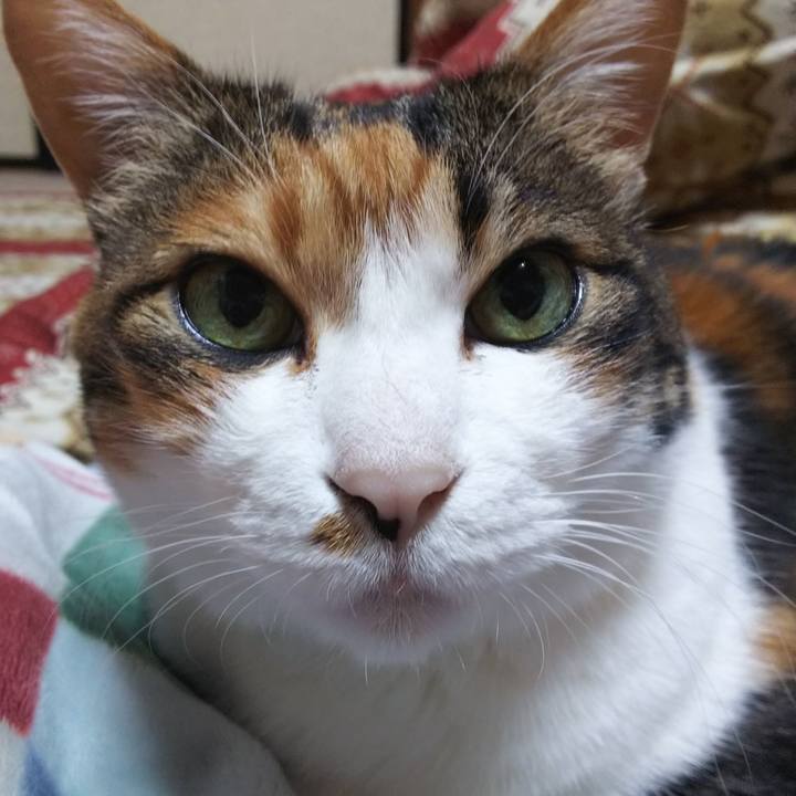 96f89a2f 604b 4e9b ab86 cd2c915c528f 1555278591893