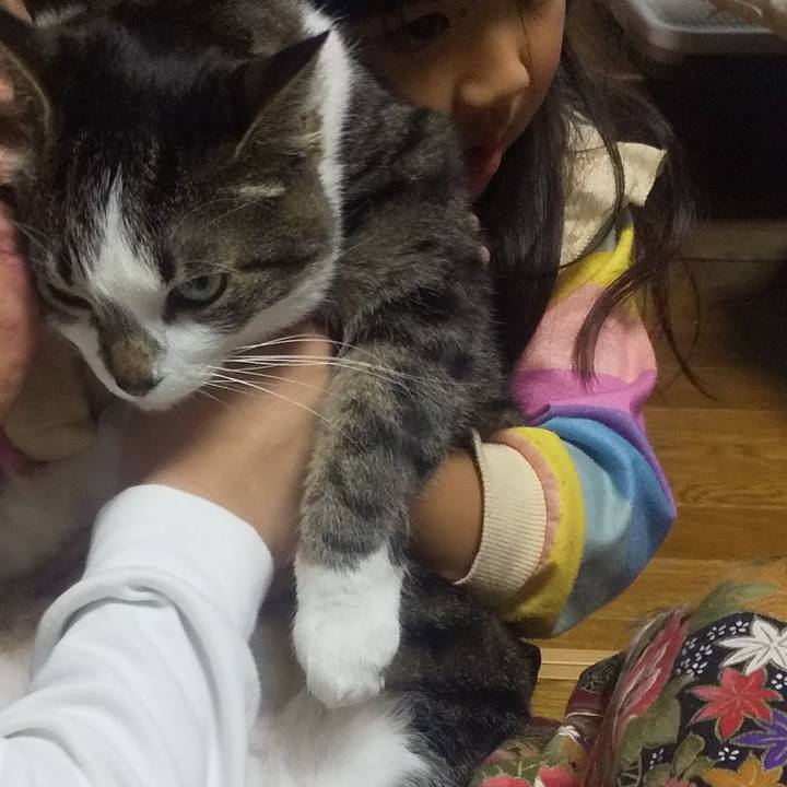 96f89fe8 98db 47e1 9082 05dbb8a4e336 1704547940179