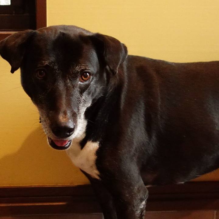 96f8a7d4 f963 420c b343 3e0ff1270582 1751412120768