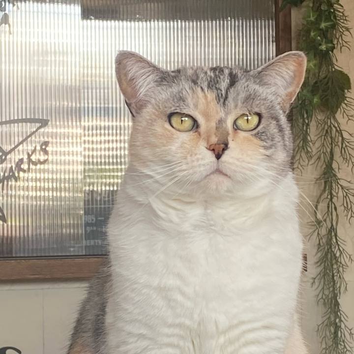 96f8aa39 3d21 463a 9014 dbb481c8bae8 1643076636942