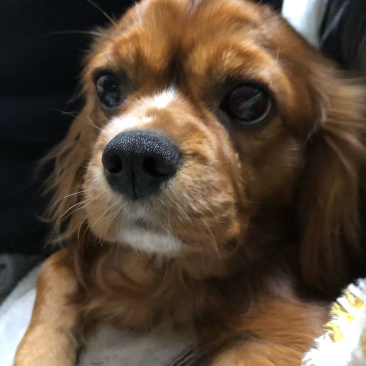 96f8c279 b728 421d 9651 c6f1589fd942 1554301454505