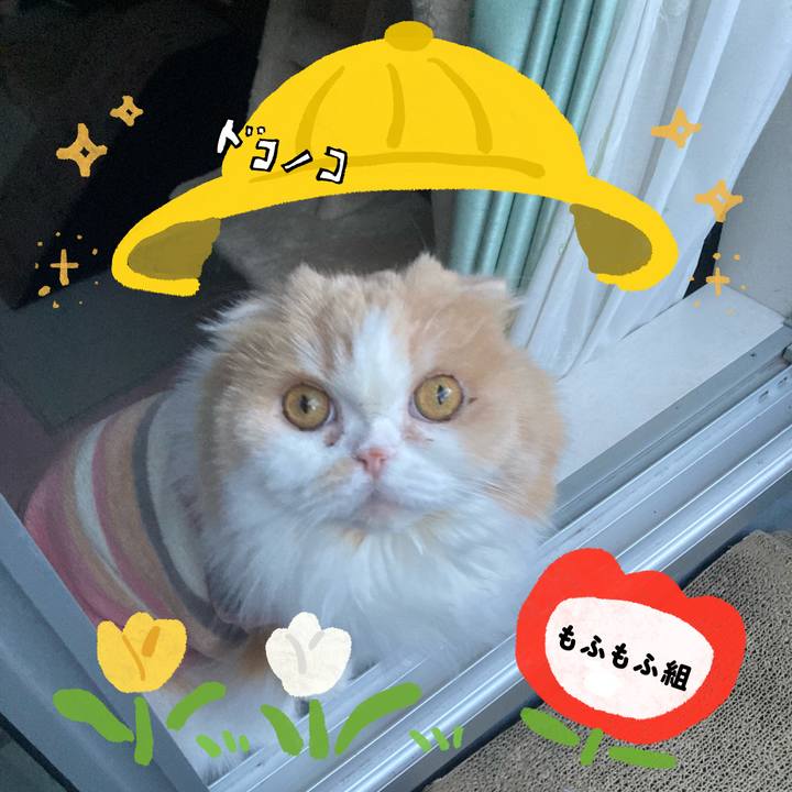 96f8f9cf a4c0 489b 8073 f61d81255efa 1712566574159