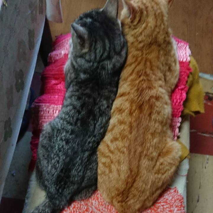 96f90b7c de04 45d6 9fa3 c48e7dca57f5 1555129342950