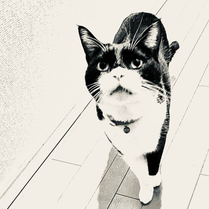 96f93be0 6462 4ba9 8c62 9bed0b2a72b5 1674049196491