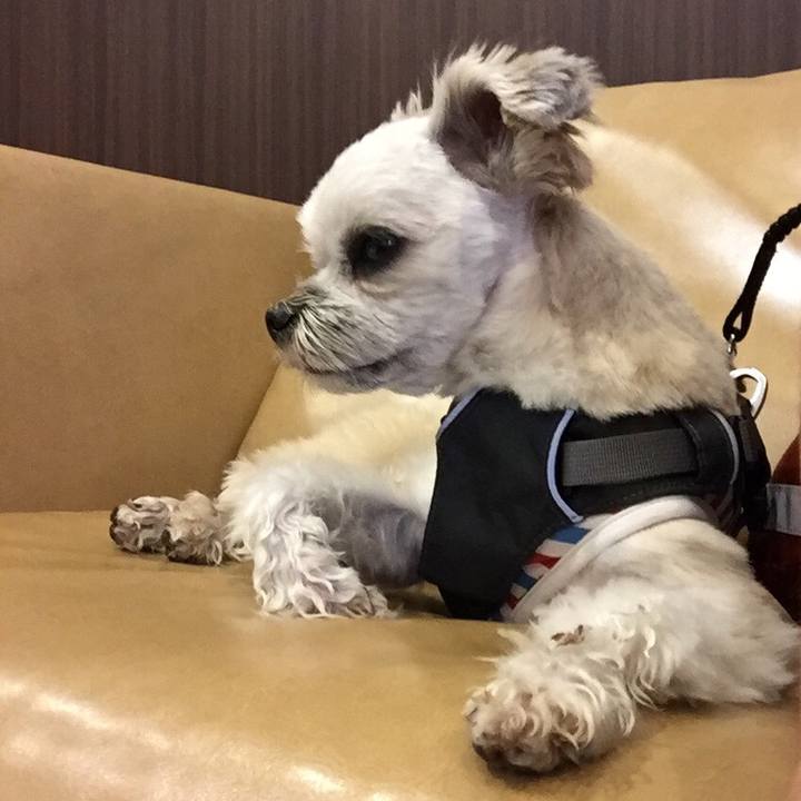 96f93f31 e571 4bee a30c cd93a9acb7cc 1558753960219