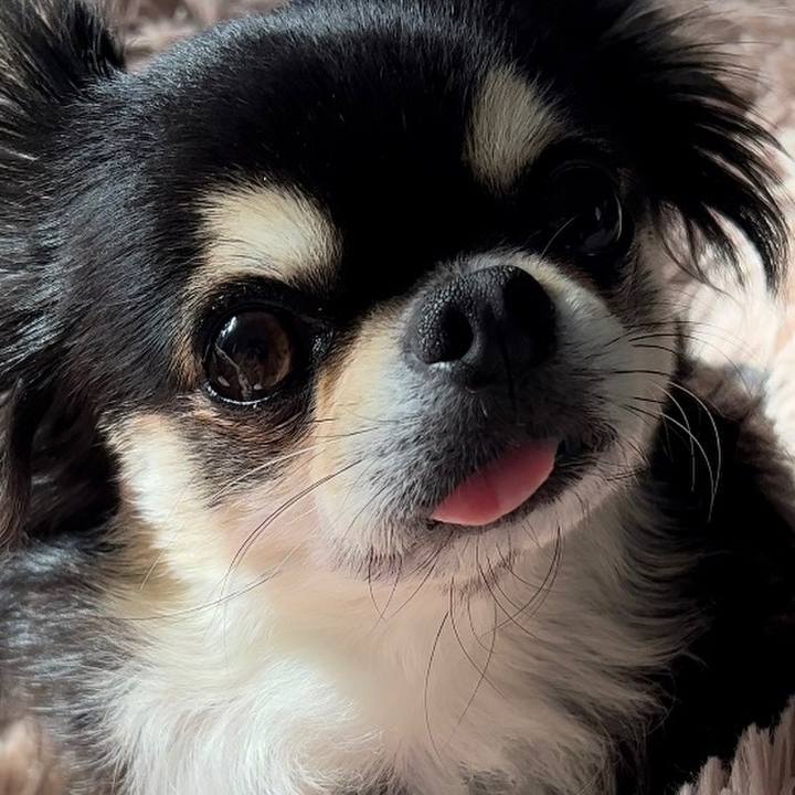 96f985d5 31be 4697 9cdc ae101ed3a1fd 1676671204437