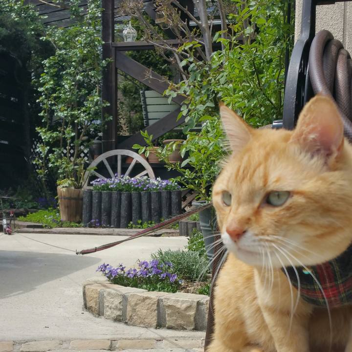 96f9911d 3527 4693 93a4 c9697809e557 1555901481209