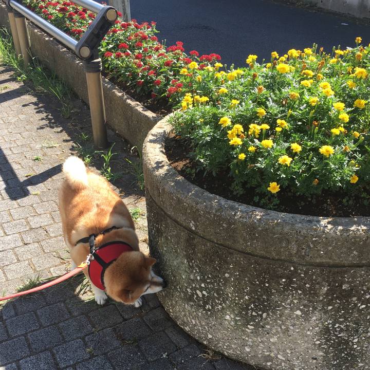 96f9ad39 7d21 4222 8b13 eae988214028 1598487494138