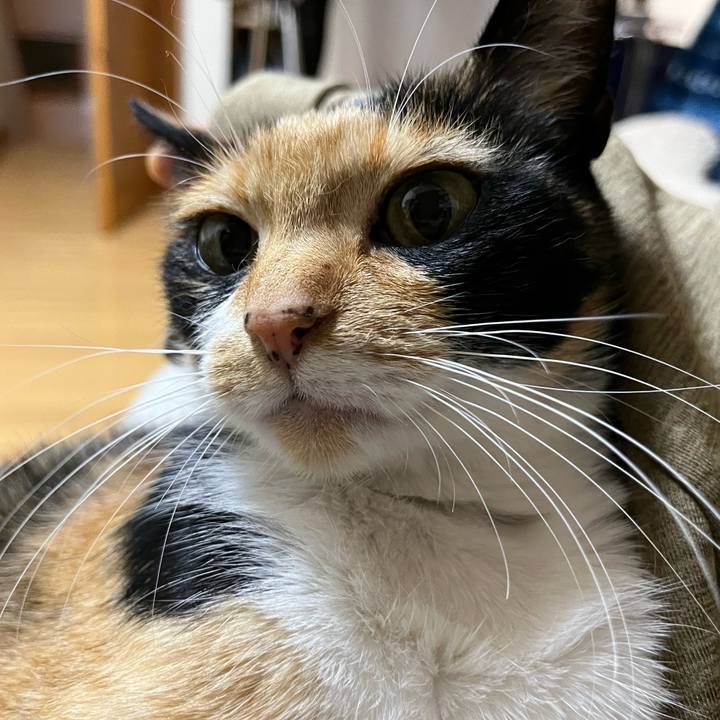 96f9c0bb 86d3 45a5 a0d0 acea1c55aa88 1650020369103