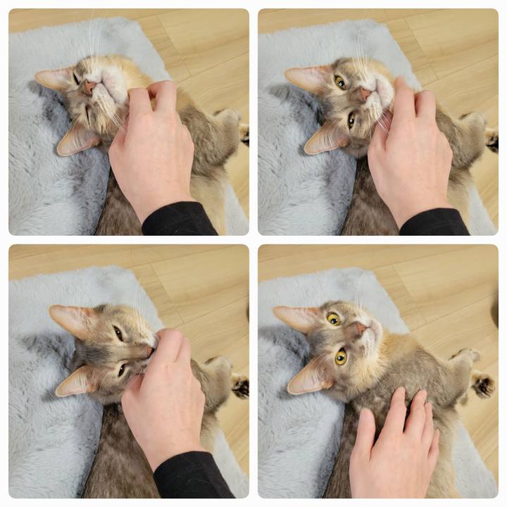 96f9f542 d510 4d80 9d84 ccb53dd7a142 1679714001879