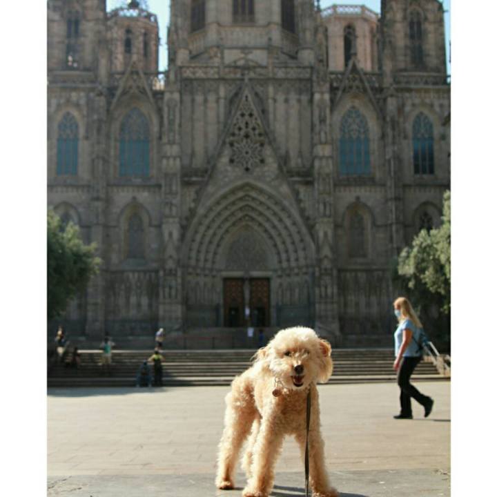 96f9fb67 f1b2 4bd9 b435 66e9dbb774fe 1594295685382