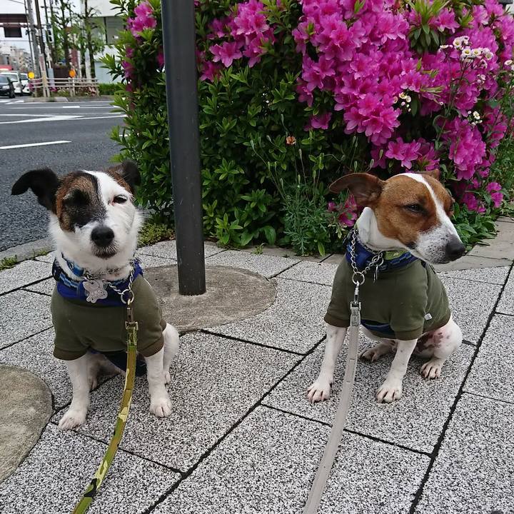 96fa2742 3228 4eda acf7 d7a18b7551a0 1556753571091