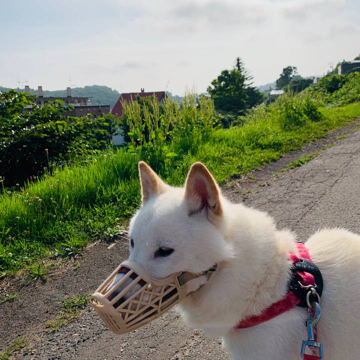 96fa357b e875 42c5 a700 82e8223c19f3 1563667920363