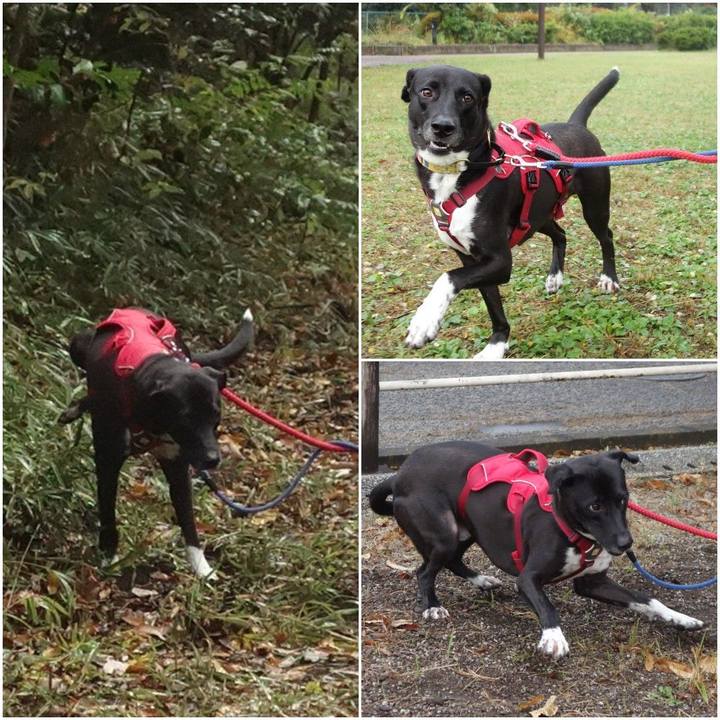 96fa3d76 608e 4b42 9d17 a7cac88b057a 1604361849192