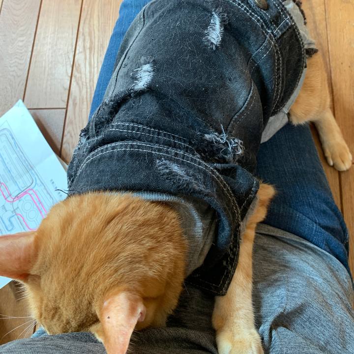 96fa9973 9317 4243 8f2b 593f5e064846 1661574206719