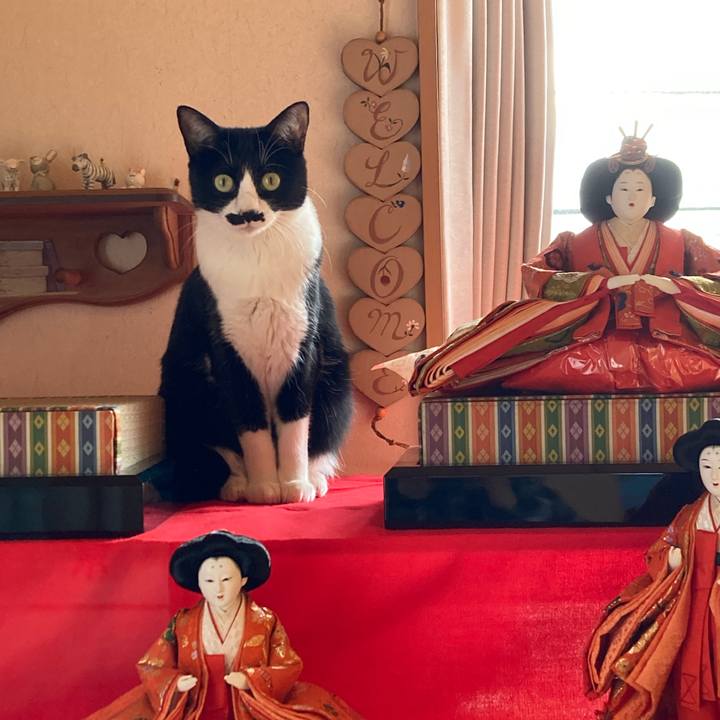 96fa9b4c 872b 4156 8a17 098783ac65b7 1709824088904