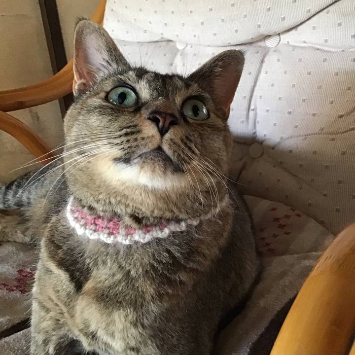 96fa9fd1 61e1 424b ae2b d1aef9165c8f 1659178684792