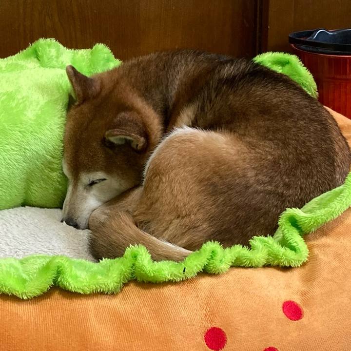 96faaa02 927e 4df5 a256 a3ef84cfcf91 1739336348564