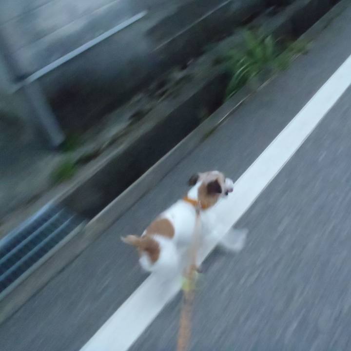 96fabd3d b28e 4580 b12f b241771e1ba9 1536146574357