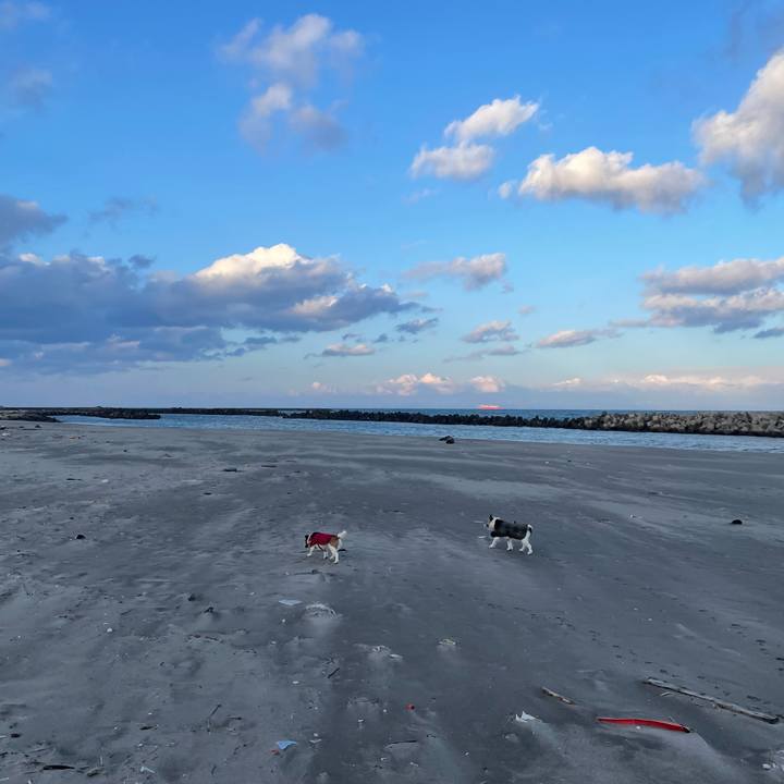 96fafa83 ff60 4d93 95e4 7dbec9cb2c88 1737760642351