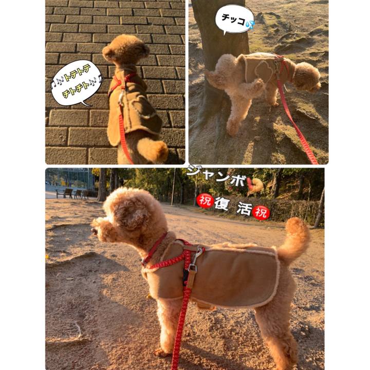 96fb391c 066a 4d71 99d4 db77b1c51507 1548059889407