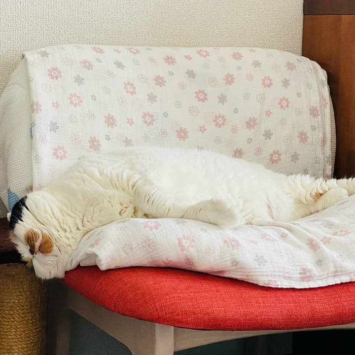 96fb5292 fe46 44ed 9f74 79ffcaea46e2 1611272671880