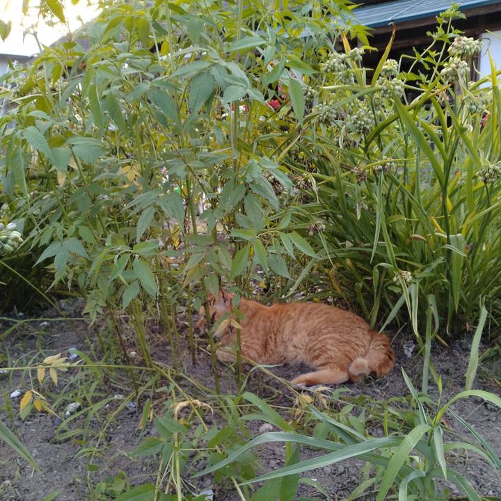 96fb5564 4e4c 4745 86be f1f6b036eb7d 1690108477790