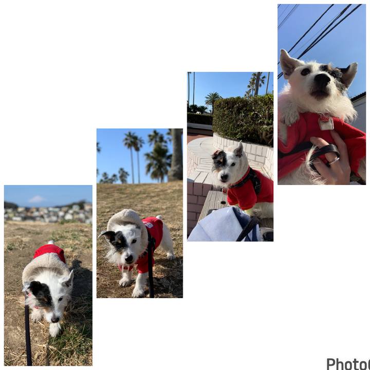 96fb5bc2 4d60 4938 be59 99a414ccad6b 1706927286014