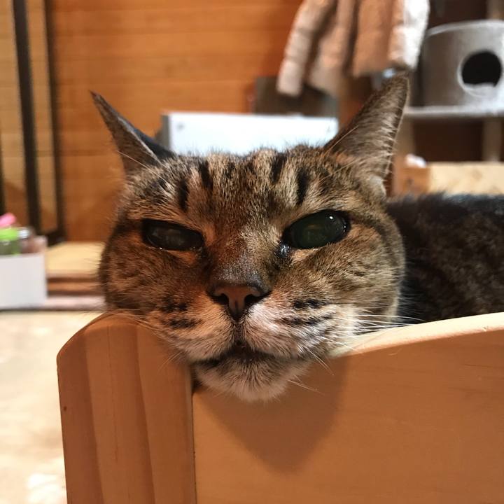 96fb62c2 7867 4b20 97de 96dafba440c6 1546605540954