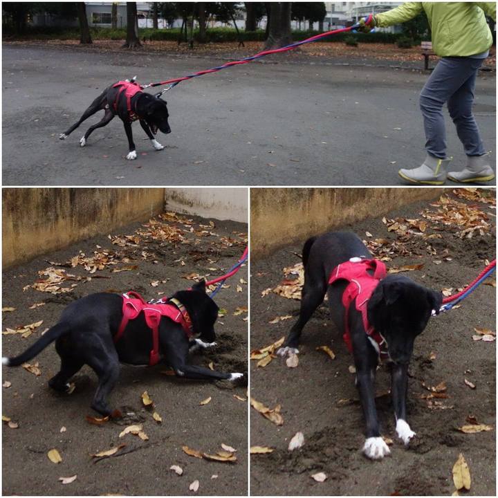 96fb94bd 4371 45f3 a13a 98aa54229595 1606260871460