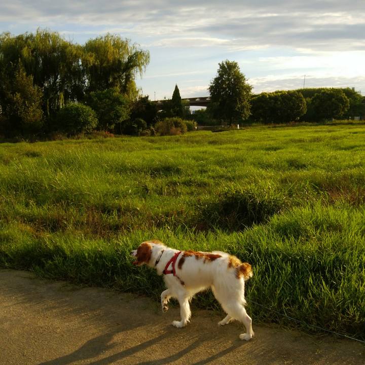 96fbb09d b32c 42ce bc77 efc8dd9cece0 1533902392302