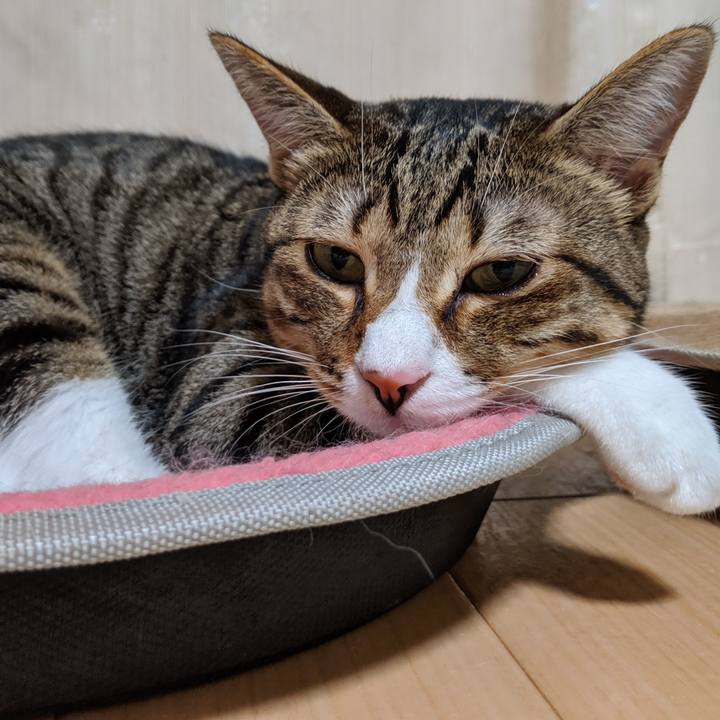 96fbcc28 246a 466a 86c4 61811213d923 1566569026271