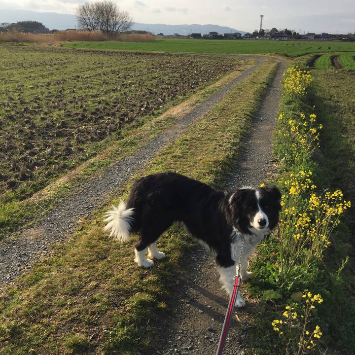 96fc854a dce8 4397 afd2 46c4a42ddc8b 1550620305093