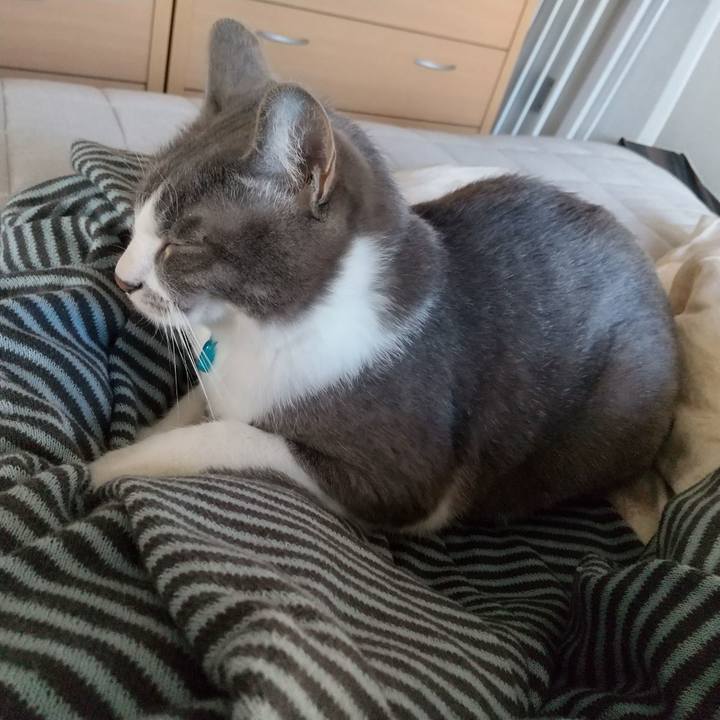 96fcb0d5 fbca 42d0 8930 27d2843c9eb7 1619474836660