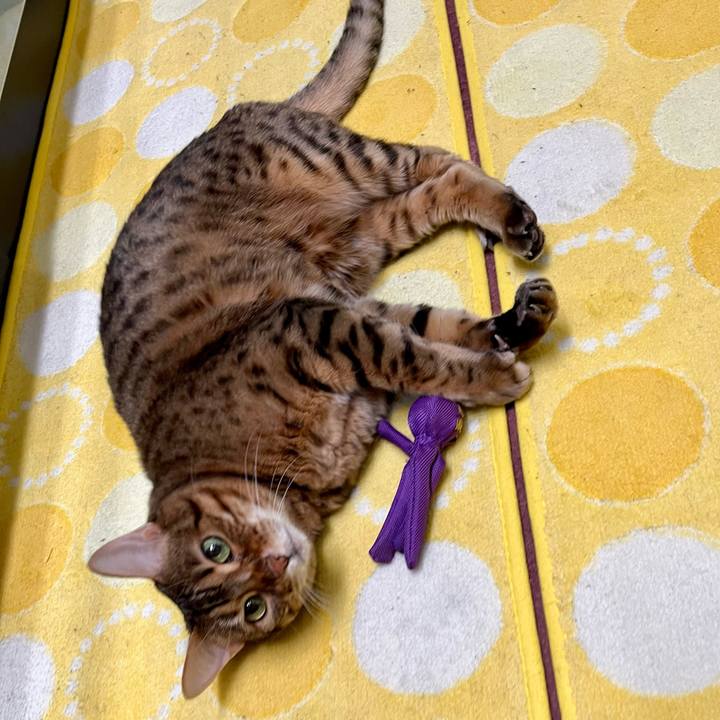 96fcbd16 7470 4373 b875 bae619db3845 1681624010474