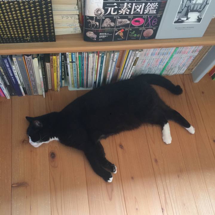 96fcd861 fc57 4143 b64d 7ce10d96d769 1527983224500