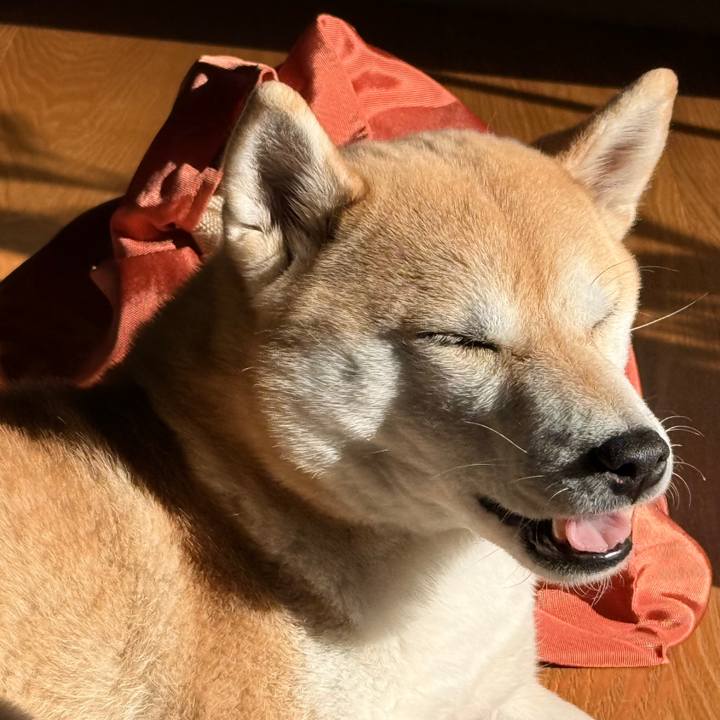 96fce542 03b8 4608 b981 b16e127f9a57 1767327945818