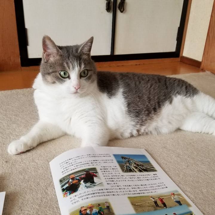 96fd002c e6d9 4815 9d32 280a45e46e1b 1597105796702