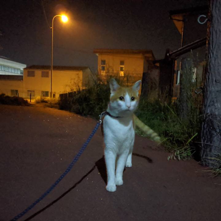 96fd511f 51ba 4477 9be3 7d12dbb76a14 1564754510085