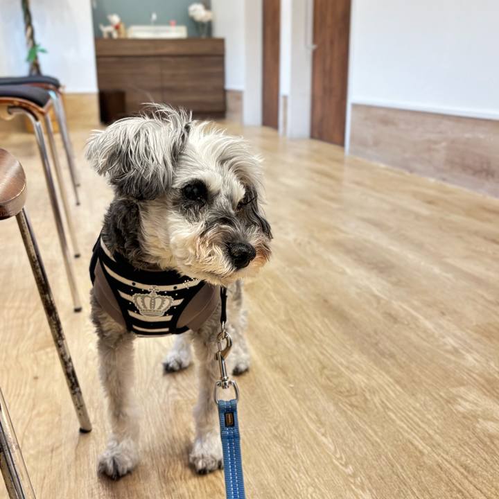 96fd5525 0aba 46df a7ee 25f64abc460d 1763124171442