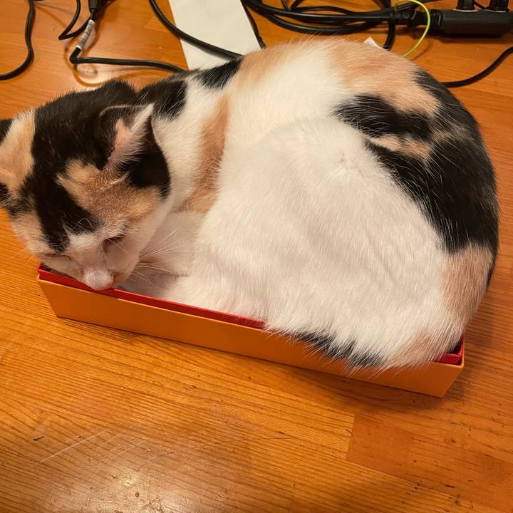 96fd8057 6812 484c a719 16df2ac77fce 1670504896667