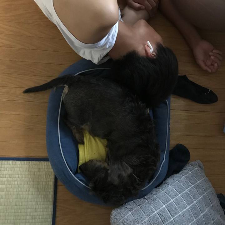 96fd96d8 7c98 4598 984f 3d3776ae20b8 1568447594821