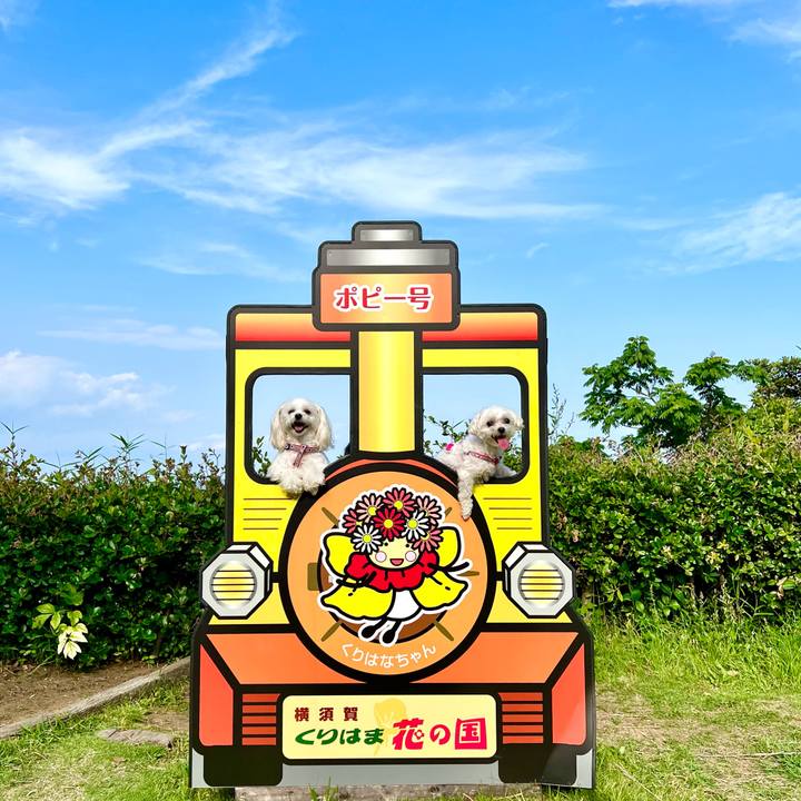 96fda922 83c5 4d2e afc7 17cf1f87a93d 1654327556759