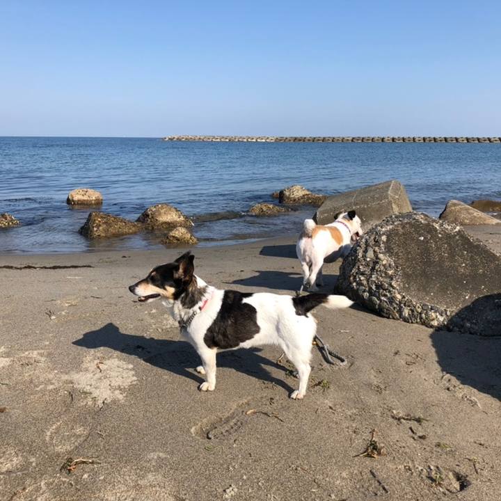 96fdd230 ebae 4cdd 822f 4bc415a26927 1558745462680