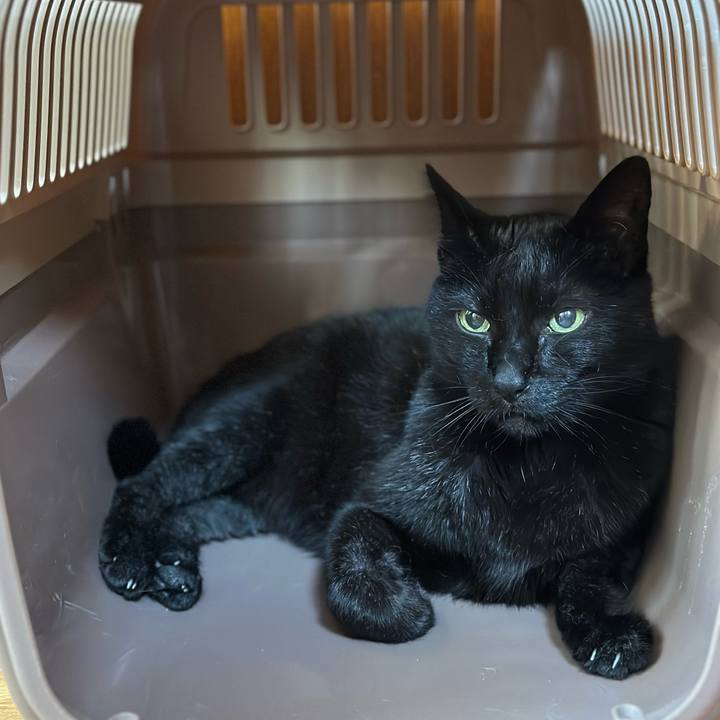 96fde432 a803 4a88 93f9 28cd2fd76361 1685063814742