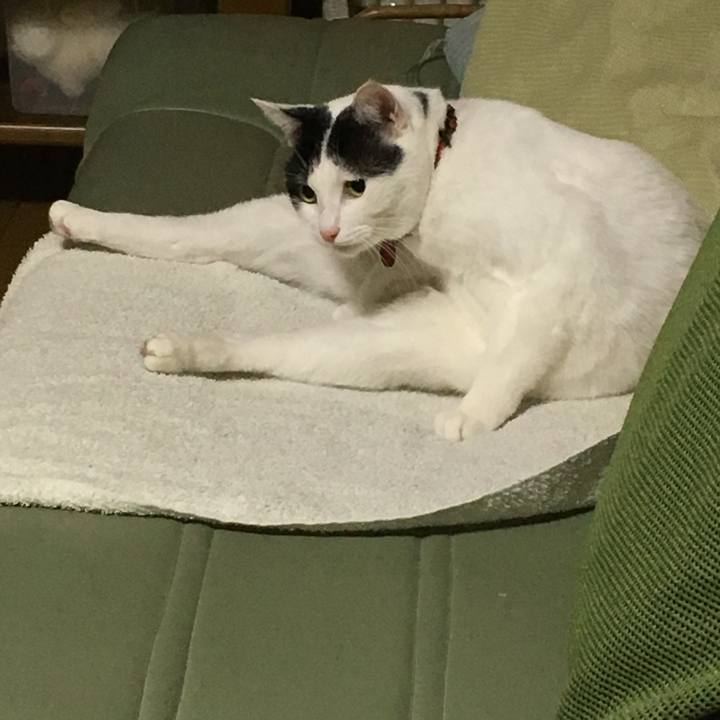 96fdef05 e58c 4e8a ac49 7b68e0692a23 1510493751277