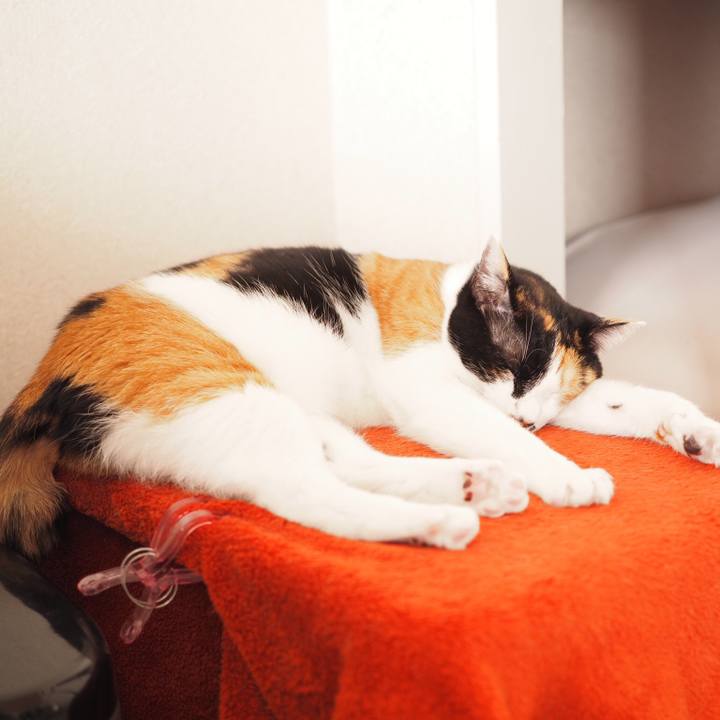 96fe22ca 7268 4c75 a3fb 3aabd91ee336 1513071938249