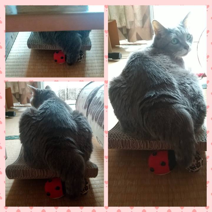 96fe234b eefb 4bc9 9572 d7a6a829fd20 1665886763183